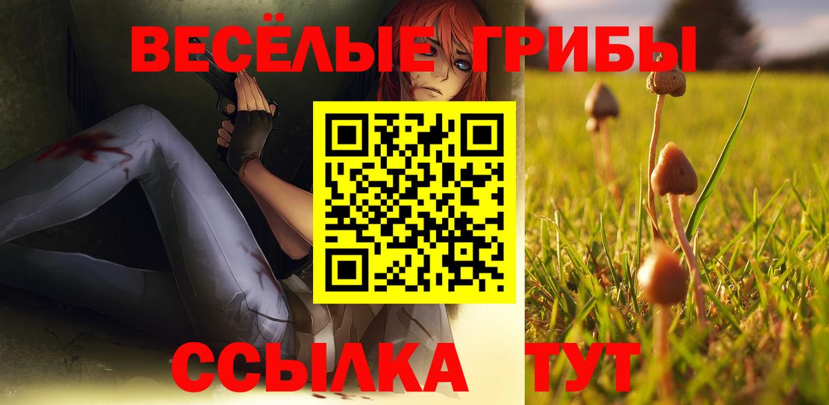 Биробиджан  Псилоцибиновые грибы мухоморы  Вход с VPN 