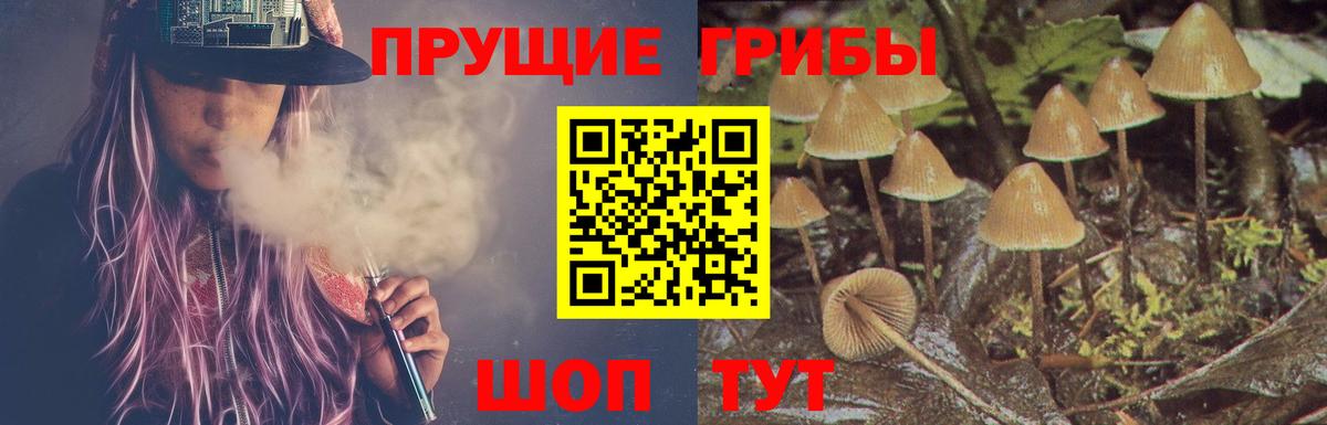 Псилоцибиновые грибы прущие грибы Биробиджан